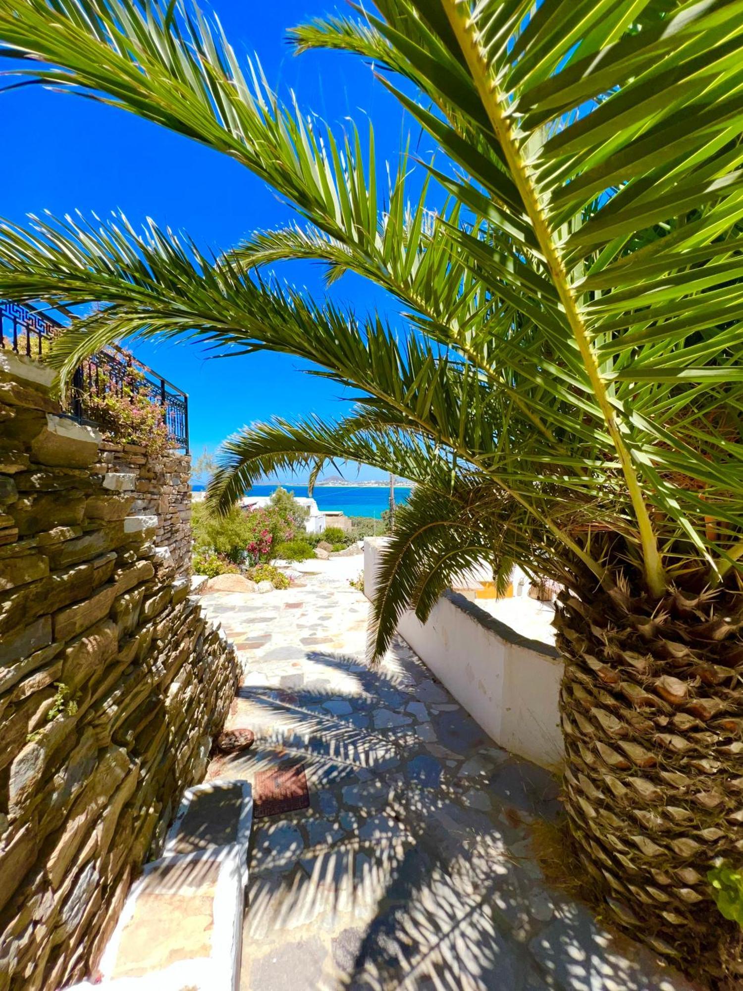 Azure Blue Studios Mikri Vigla Exterior foto